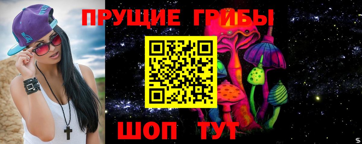 Псилоцибиновые грибы Psilocybine cubensis  Вход с VPN  Галлюциногенные грибы Cubensis  Кувандык 
